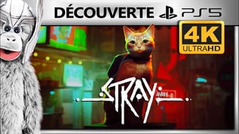 Découverte [4K60] : STRAY | Chat, c'est vraiment toi | Gameplay FR sur PS5 | VR Singe & Thorix