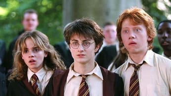 Après Hogwarts Legacy, ce nouveau projet va faire vibrer les fans d’Harry Potter, mais…