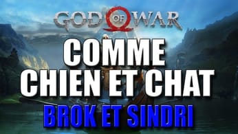 GOD OF WAR - COMME CHIEN ET CHAT ( Services de Brok et Sindri )