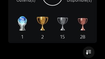 Platine 187 hogwarts legacy