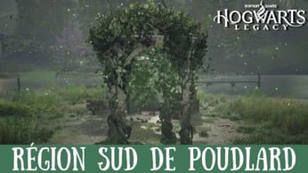 Épreuve de Merlin Hogwarts Legacy, Région Sud de Poudlard : Comment résoudre toutes les énigmes de la zone ?