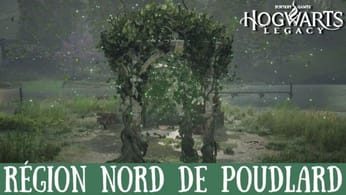 Épreuve de Merlin Hogwarts Legacy, Région nord de Poudlard : Comment résoudre toutes les énigmes de la zone ?
