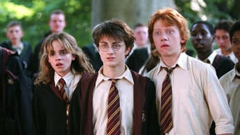 Harry Potter : la saga culte aurait pu profiter de cet acteur magique mais JK Rowling a imposé ses propres règles