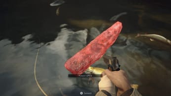 Où trouver le poisson raffiné ?