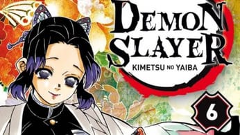 Demon Slayer de retour dans une édition Pilier