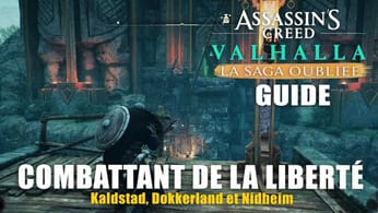 Assassin's Creed Valhalla : La Saga Oubliée - Combattant de la liberté (Guide Trophée / Succès)
