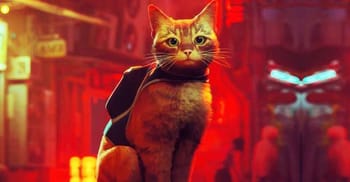 Stray reçoit un film d’animation