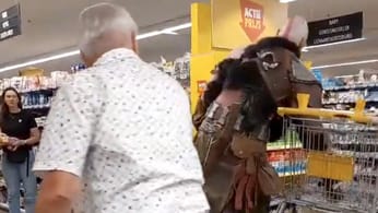 Le cosplay insolite du jour : Kratos fait ses courses, ça jette un froid glacial