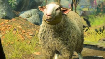 Pas de chance... Un joueur de Baldur's Gate 3 a ruiné la fin de sa partie en se transformant en mouton au pire moment !