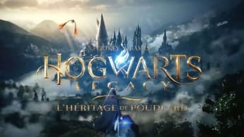 Hogwarts Legacy est élu le jeu le plus populaire du monde par Google !