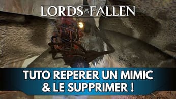 Lords of the Fallen Tuto FR : Repérer un Mimic et s'en Débarrasser !