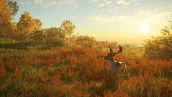 PS4-PS5 : ce jeu de survie en monde ouvert est à moins de 8 euros pou…