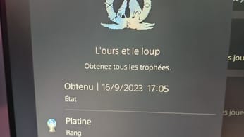 Platine en poche !