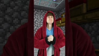 If Minecraft had prisons