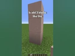 Types of Builders in Minecraft