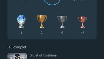 Platine N° 12 & 13 : Ghost of tsushima