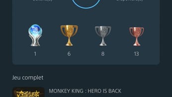 Platine N° 14 : Hero king : Monkey is back