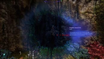 Localisation Poupées Kame'tires | Guide Avatar Frontiers of Pandora