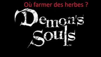 Guide Demon's Souls - Où farmer les herbes ?
