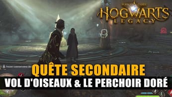 Hogwarts Legacy : Solution - Vol d'Oiseaux (Énigme des ruines) & Le Perchoir doré