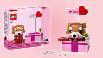 Découvrez la Boîte cadeau cœur LEGO, une édition limitée pour la Saint-Valentin - Dexerto.fr