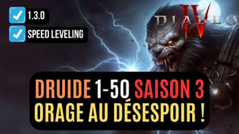 Le Build Du Druide Speed Leveling 1 à 50 Qui Déchaîne La Foudre Sur La Saison 3 !