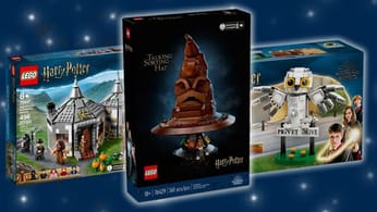 Nouveautés LEGO Harry Potter 2024 : Choixpeau qui parle, Patronus, Cabane de Hagrid, et plus encore - Dexerto.fr