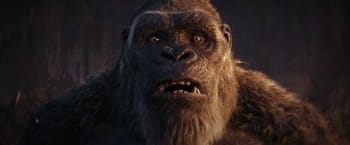 CINEMA : Godzilla x Kong : Le Nouvel Empire dévoile sa véritable menace dans un trailer toujours aussi démesuré