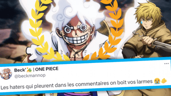 One Piece : Monkey D. Luffy gagne cette récompense, les fans sont divisés