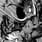 photo de profil de VenOm