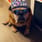 photo de profil de Frelon50