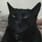 photo de profil de Ourschanmay