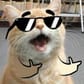 photo de profil de EyeDen_W