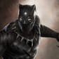 photo de profil de BackPanther-BP