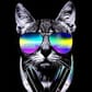 photo de profil de Adrien_Leloir