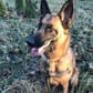 photo de profil de Roosteur