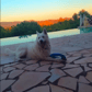 photo de profil de ecco761