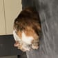 photo de profil de Xeo1664