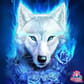 photo de profil de Vinvin60220