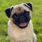 photo de profil de Vinoups