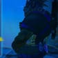 photo de profil de Bl@ckSn@ke