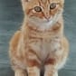 photo de profil de Frantz1385