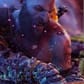 photo de profil de Typhus2465