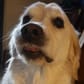 photo de profil de Damsou777