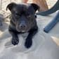 photo de profil de Maitre_Bambix