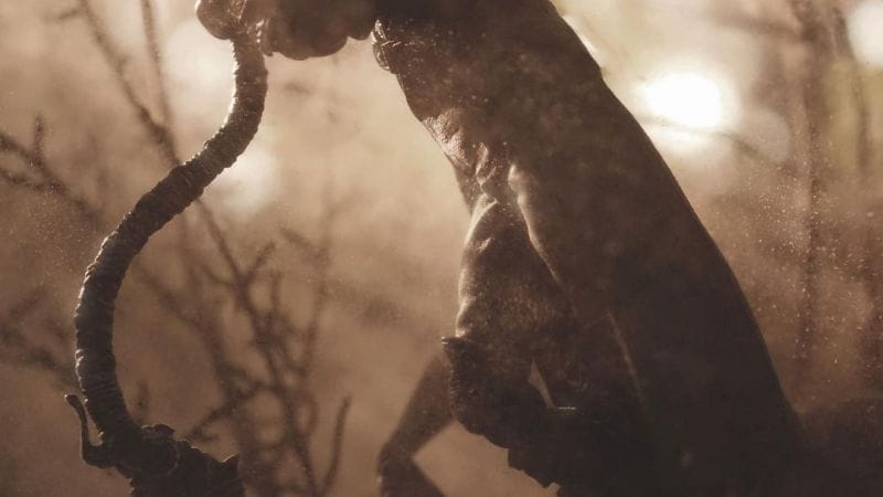 L'instant "Partage" - la Toy Photography