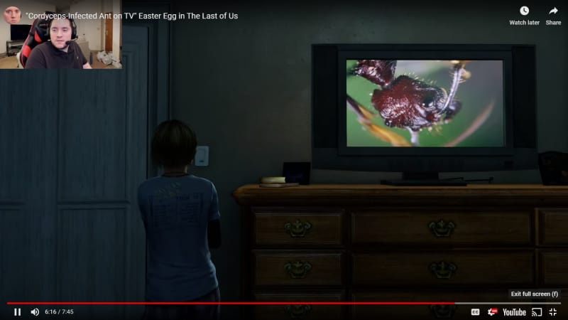 Un nouveau Easter Egg à été découvert dans The Last of Us