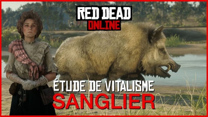 [GUIDE] Se transformer en sanglier avec l'étude de vitalisme • Red Dead Online