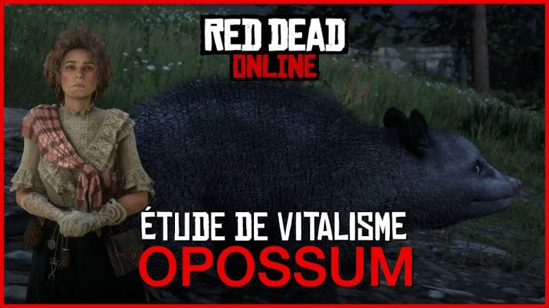 [GUIDE] Se transformer en opossum avec l'étude de vitalisme • Red Dead Online