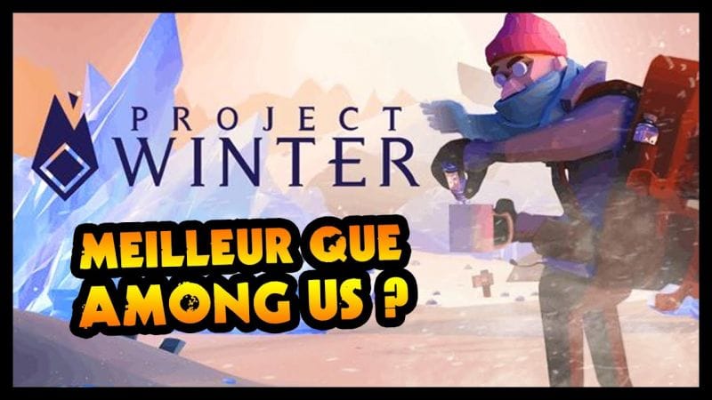 PROJECT WINTER, MEILLEUR QUE AMONG US ? / Gameplay en survivant